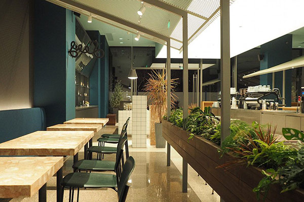 设计丨 令人舒服的绿色，网红咖啡厅